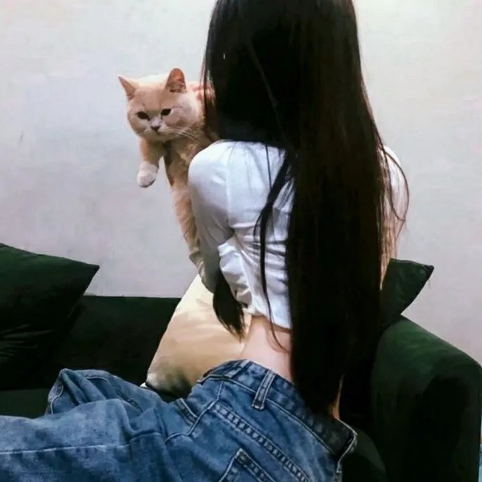 犯罪女王封面